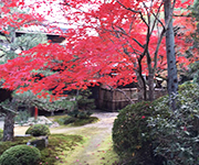 京都旅行