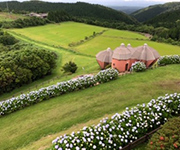 鹿児島旅行