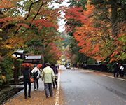 八幡平&十和田湖&角館旅行