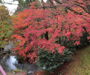 石川旅行6