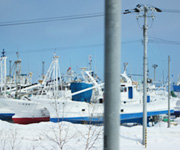 img 03