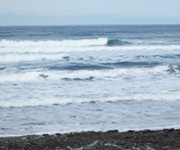 img 05